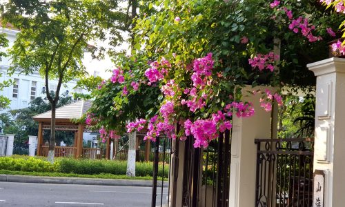 khong-gian-splendora-46
